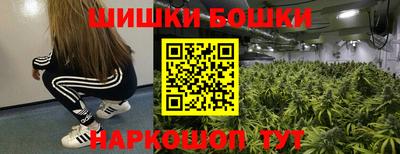 прущие грибы Ирбит