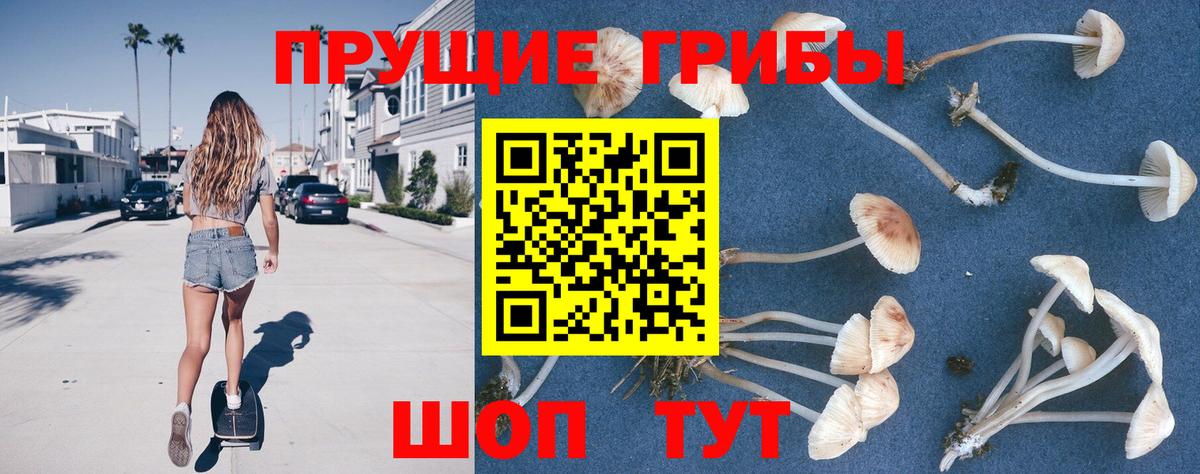 Галлюциногенные грибы мухоморы Кувандык