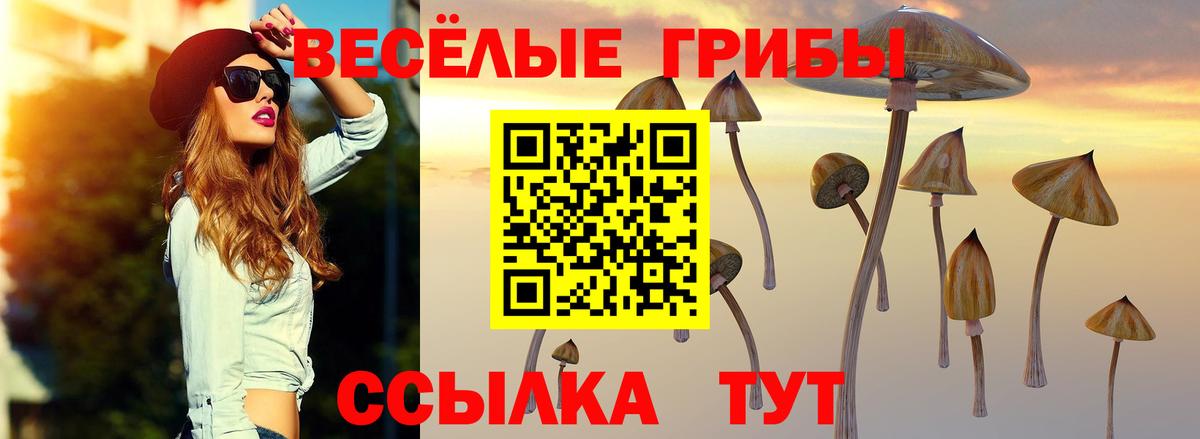 Кувандык  Псилоцибиновые грибы прущие грибы  Вход с VPN 